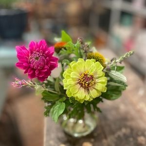 Meet your Posher, Posh